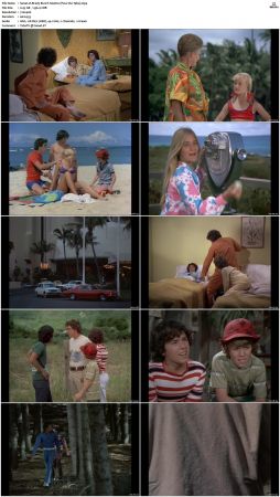 The Brady Bunch S04 DVDRip x264-NGP