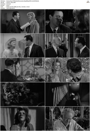 Days Of Wine And Roses 1962 1080p BluRay HEVC x265-SUP3R