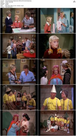 The Brady Bunch S05 DVDRip x264-NGP
