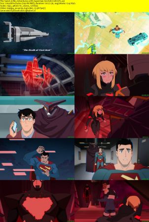My Adventures with Superman S02E08 XviD-AFG