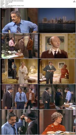 Barney Miller S02 DVDRip x265-NGP