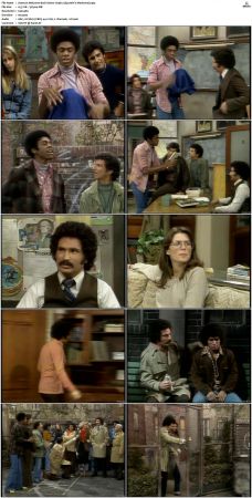 Welcome Back Kotter S03 DVDRip x264-NGP