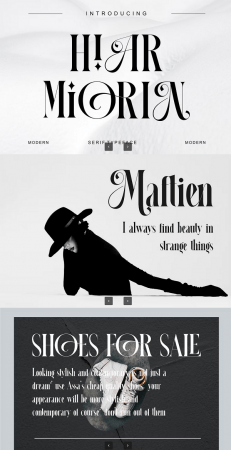 EE - HIAR MIORIN Serif Typeface 4R7SGHB