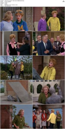 The Lucy Show S02 DVDRip x264-NGP