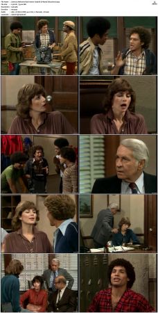 Welcome Back Kotter S04 DVDRip x264-NGP