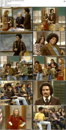 Welcome Back Kotter S02 DVDRip x264-NGP