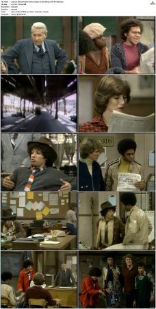 Welcome Back Kotter S04 DVDRip x264-NGP