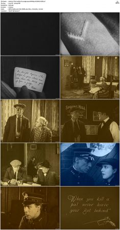 The Cradle of Courage 1920 DVDRip Xvid MP3-USER