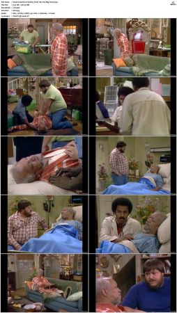 Sanford S02 DVDRip x264-NGP