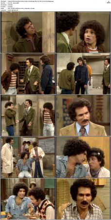 Welcome Back Kotter S02 DVDRip x264-NGP