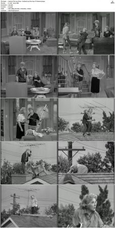 The Lucy Show S01 DVDRip x264-NGP
