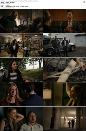 Sneaky Pete S03 NORDiC 720p WEB-DL H 265 DDP5 1-CiNEMiX