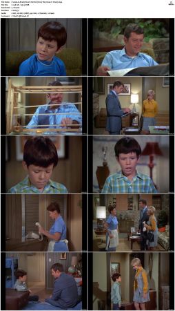 The Brady Bunch S01 DVDRip x264-NGP