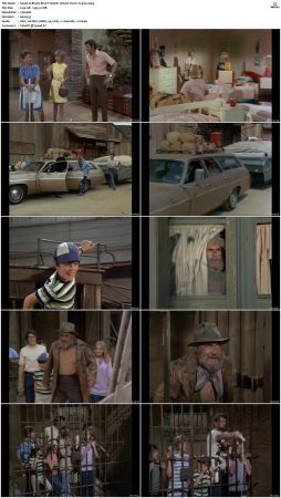 The Brady Bunch S03 DVDRip x264-NGP