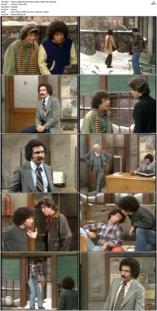 Welcome Back Kotter S03 DVDRip x264-NGP