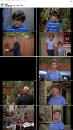 The Brady Bunch S03 DVDRip x264-NGP