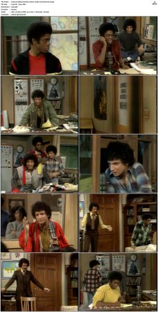 Welcome Back Kotter S03 DVDRip x264-NGP