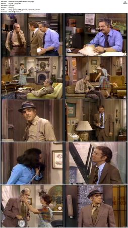 Barney Miller S02 DVDRip x265-NGP