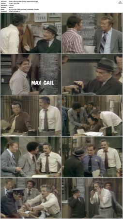 Barney Miller S04 DVDRip x264-NGP