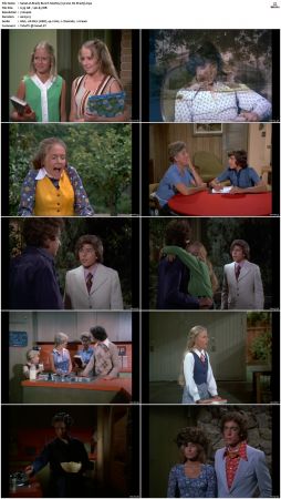 The Brady Bunch S04 DVDRip x264-NGP