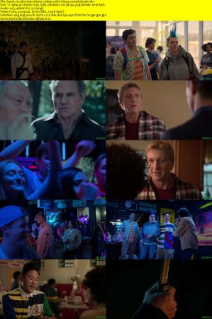Cobra Kai S06 Part 1 1080p WEB H264-SuccessfulCrab
