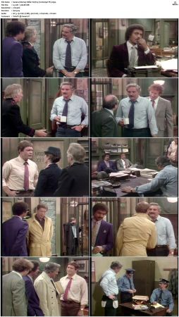 Barney Miller S07 DVDRip x264-NGP