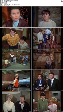 The Brady Bunch S01 DVDRip x264-NGP