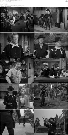 F-Troop S01 DVDRip XviD-cOOt