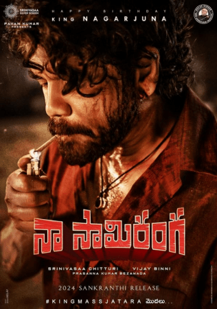 Naa Saami Ranga 2024 1080p AMZN WEB-DL DD+2.0 H264-playWEB