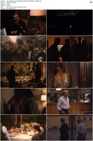 The Godfather Part II 1974 iNTERNAL BDRip x264-LiBRARiANS