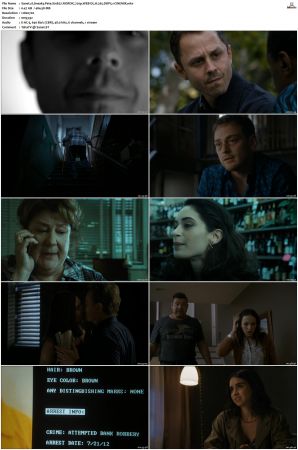 Sneaky Pete S01 NORDiC 720p WEB-DL H 265 DDP5.1-CiNEMiX