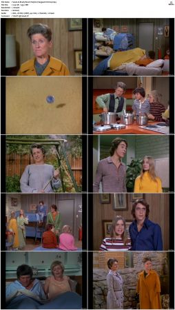 The Brady Bunch S03 DVDRip x264-NGP