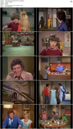 The Brady Bunch S05 DVDRip x264-NGP