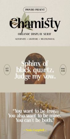 CM - Chamisty - Organic Serif 92133945