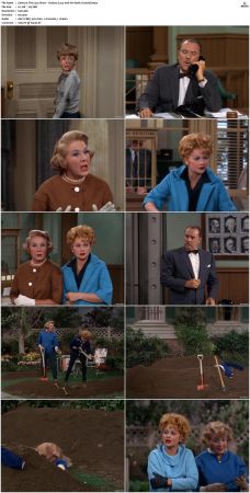 The Lucy Show S02 DVDRip x264-NGP