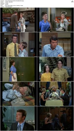 The Brady Bunch S02 DVDRip x264-NGP