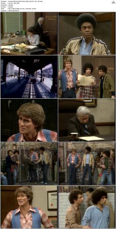 Welcome Back Kotter S04 DVDRip x264-NGP