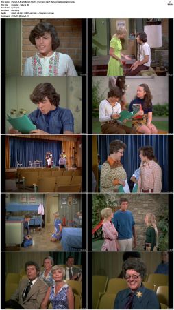 The Brady Bunch S04 DVDRip x264-NGP
