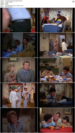 The Brady Bunch S05 DVDRip x264-NGP