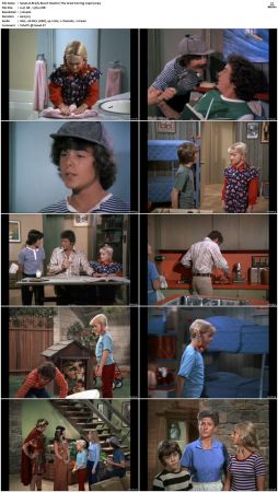 The Brady Bunch S04 DVDRip x264-NGP