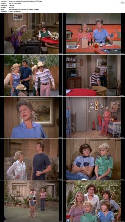 The Brady Bunch S04 DVDRip x264-NGP
