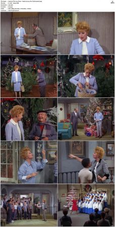 The Lucy Show S04 DVDRip x264-NGP