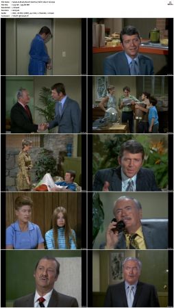 The Brady Bunch S02 DVDRip x264-NGP