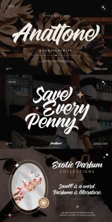CM - Anattone - Modern Script Font 27122650