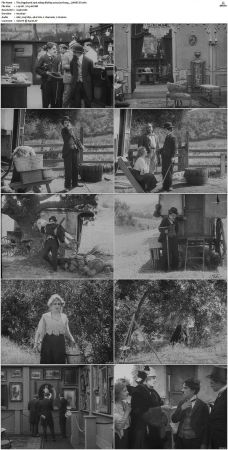 The Vagabond 1916 1080p BluRay x265-Garshasp