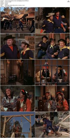 F Troop S02 DVDRip XviD-cOOt