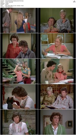 The Brady Bunch S04 DVDRip x264-NGP