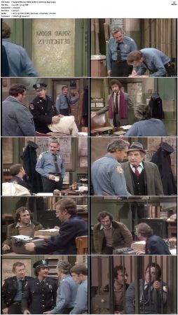 Barney Miller S06 DVDRip x264-NGP