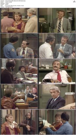 Barney Miller S06 DVDRip x264-NGP