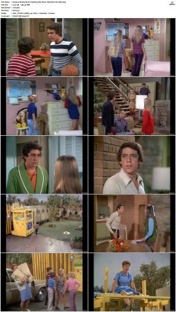 The Brady Bunch S03 DVDRip x264-NGP